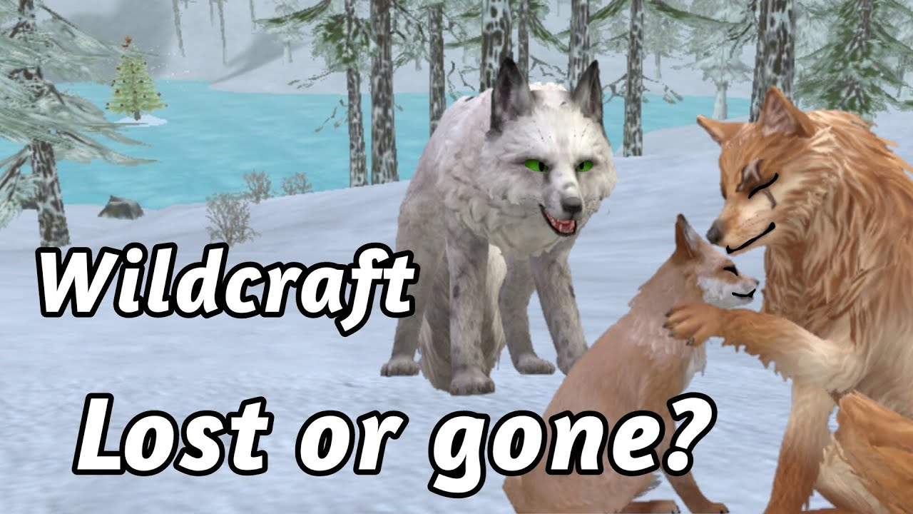 Lost or Gone (Wildcraft stories)