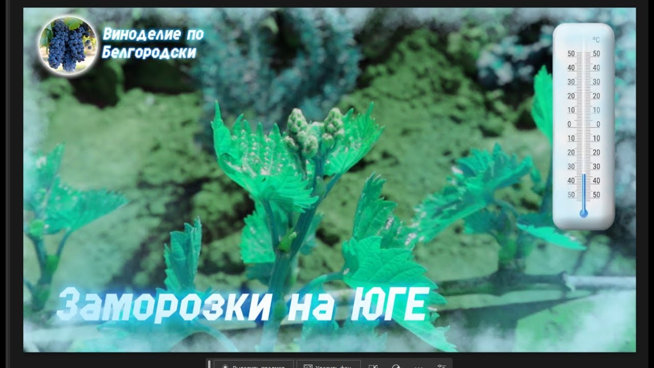 ЗАМОРОЗКИ НА ЮГЕ ( КАРМА СУЩЕСТВУЕТ)