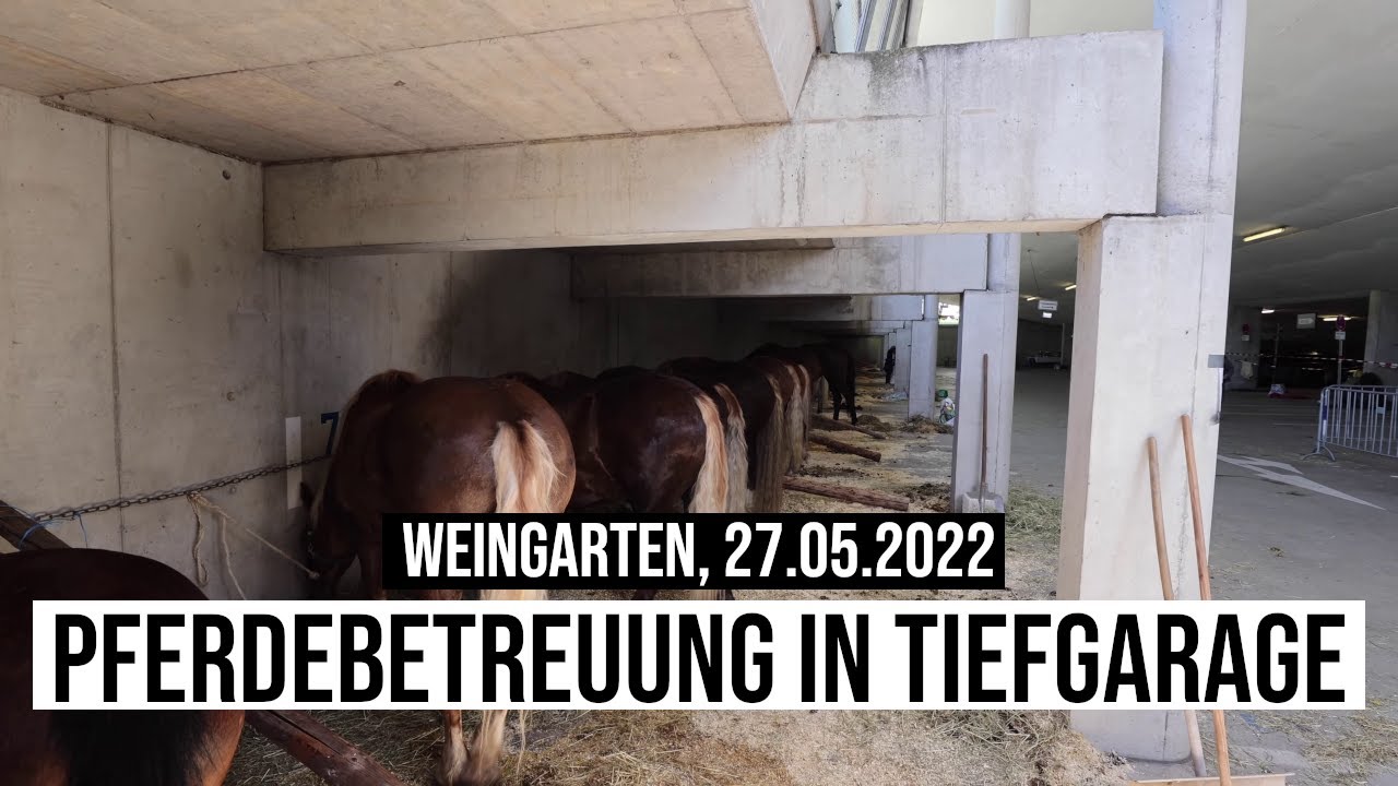 27.05.2022 #Weingarten #Tiefgarage ist #Pferde-#Pension #Blutfreitag #Blutreiter #Blutritt #Kutscher