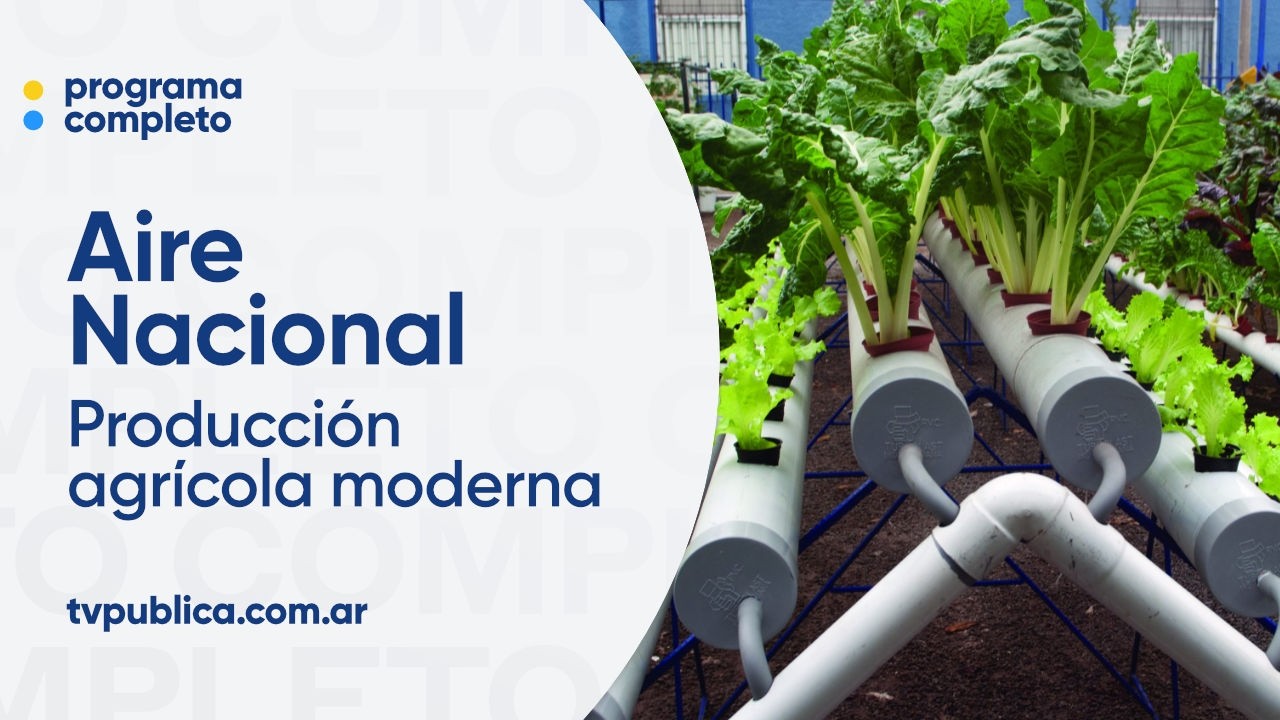 Hidroponia, Mundial de Natación y feria de artesanias pampeanas - Aire Nacional