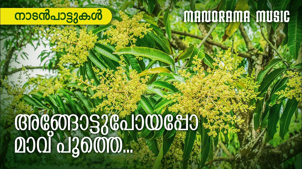 Angottupoyappo | Folk Song | നാടൻപാട്ടുകൾ  | Sundardas | Kalleli Apooppan