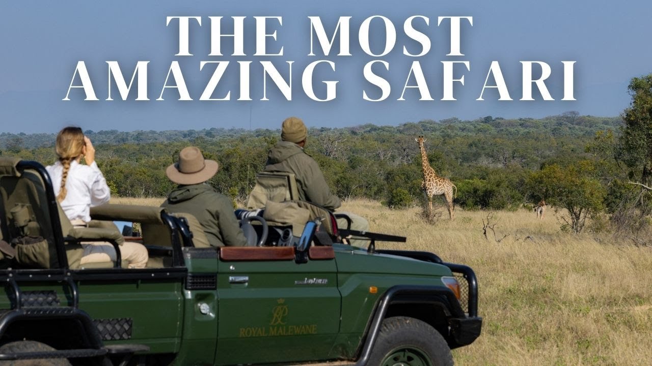 The most incredible luxury safari ever! Royal Malewane Vlog (INSANE)