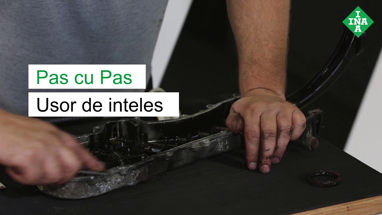 Reparația transmisiei cu lanț INA, inclusiv Schaeffler Chain Protect