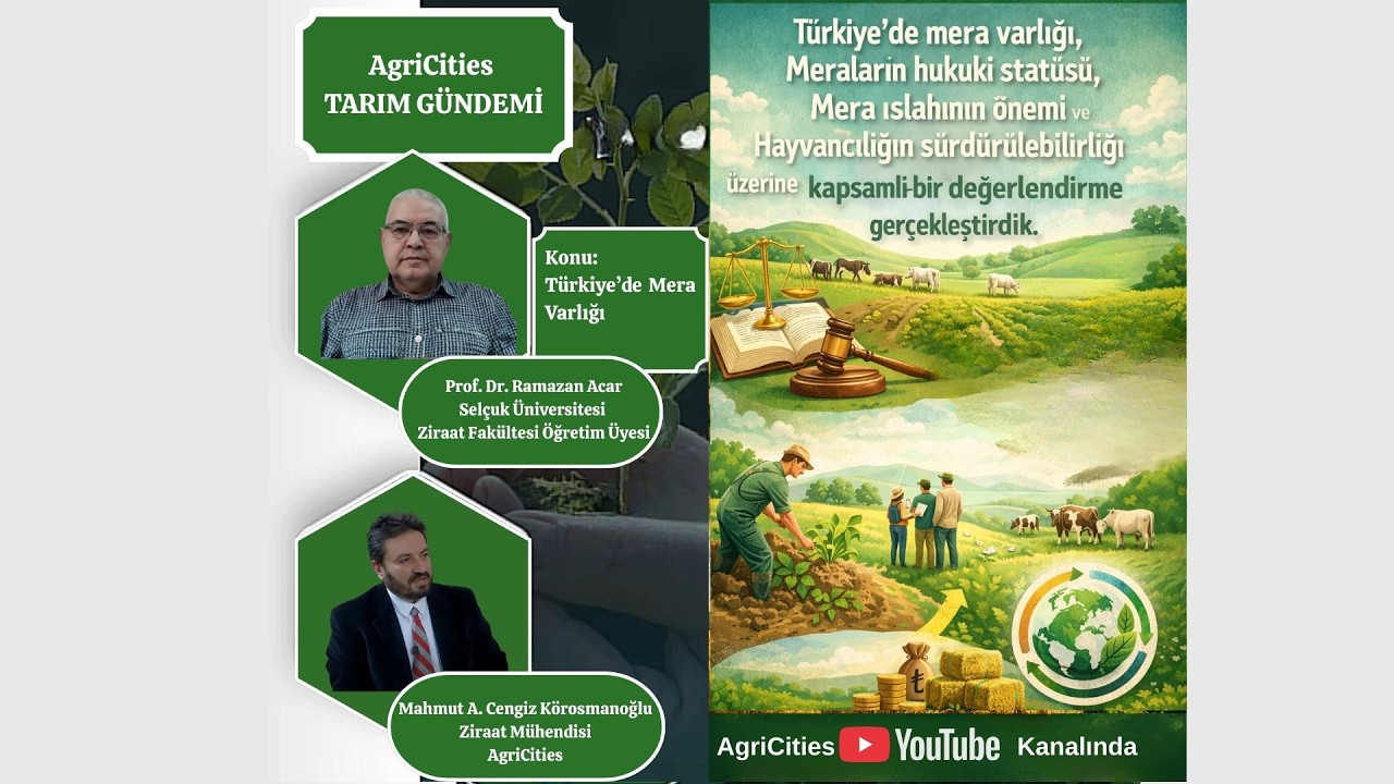 Türkiye'de Mera Varlığı