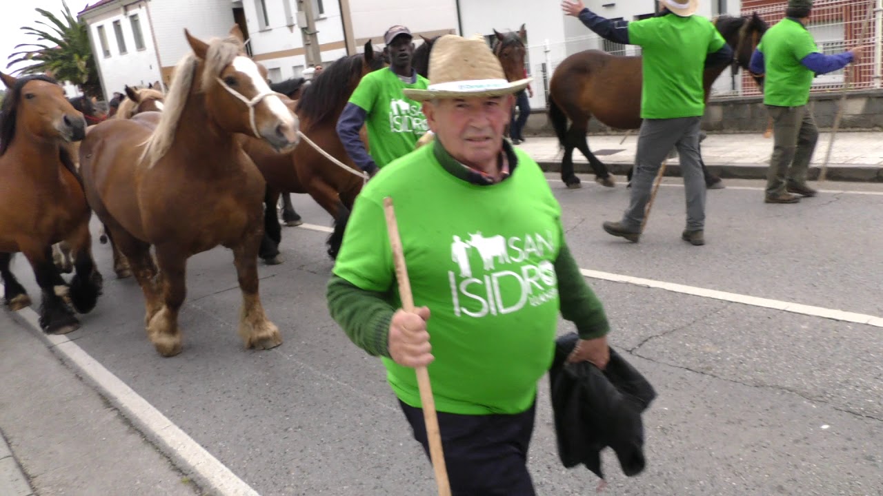 Desfile de Carros y Animales por las calles de Posada de Llanera /El Campo de Asturias