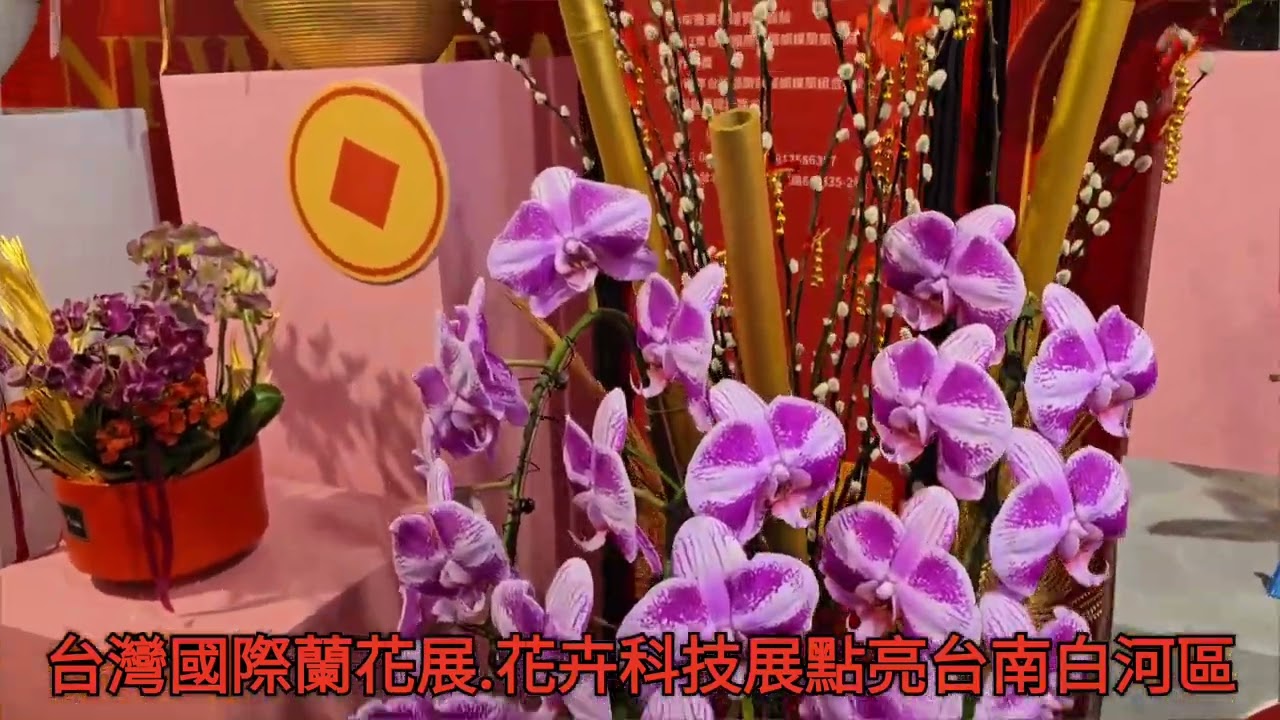 迎接2026台灣國際蘭花展.花卉科技展點亮台南白河區台灣尚水