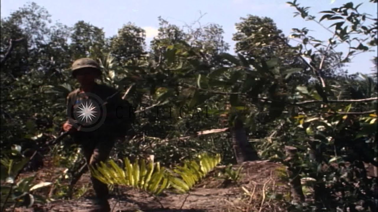 Vietnamese Navy and Marines combined assault in Kein Hung, Vietnam. HD Stock Footage