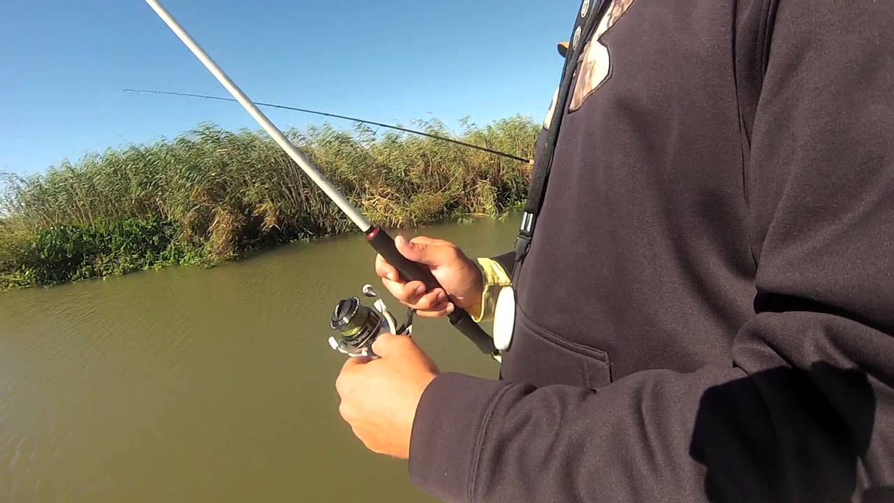 Tackle Test: Quantum Accurist