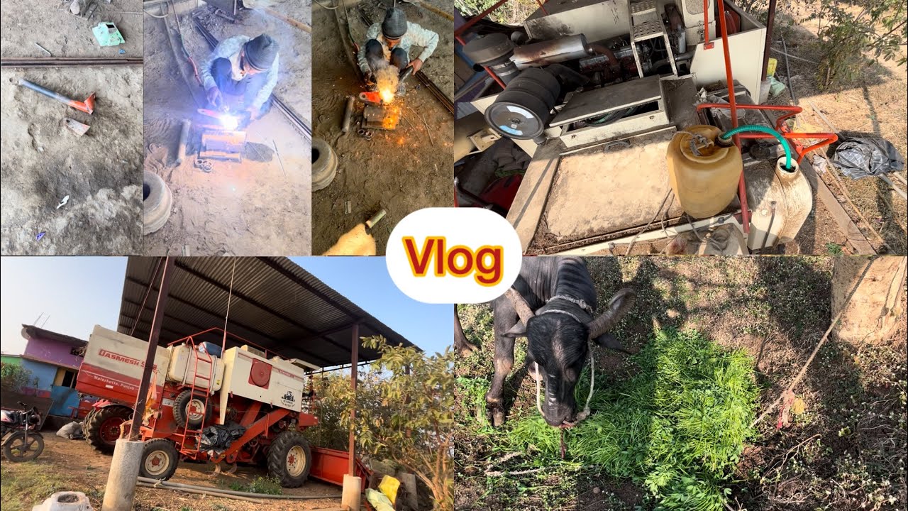 Harvester Me Diesel Dal Diya 🚜 Valding Ka Kaam Pura 35/365 Day Vlog Challenge 