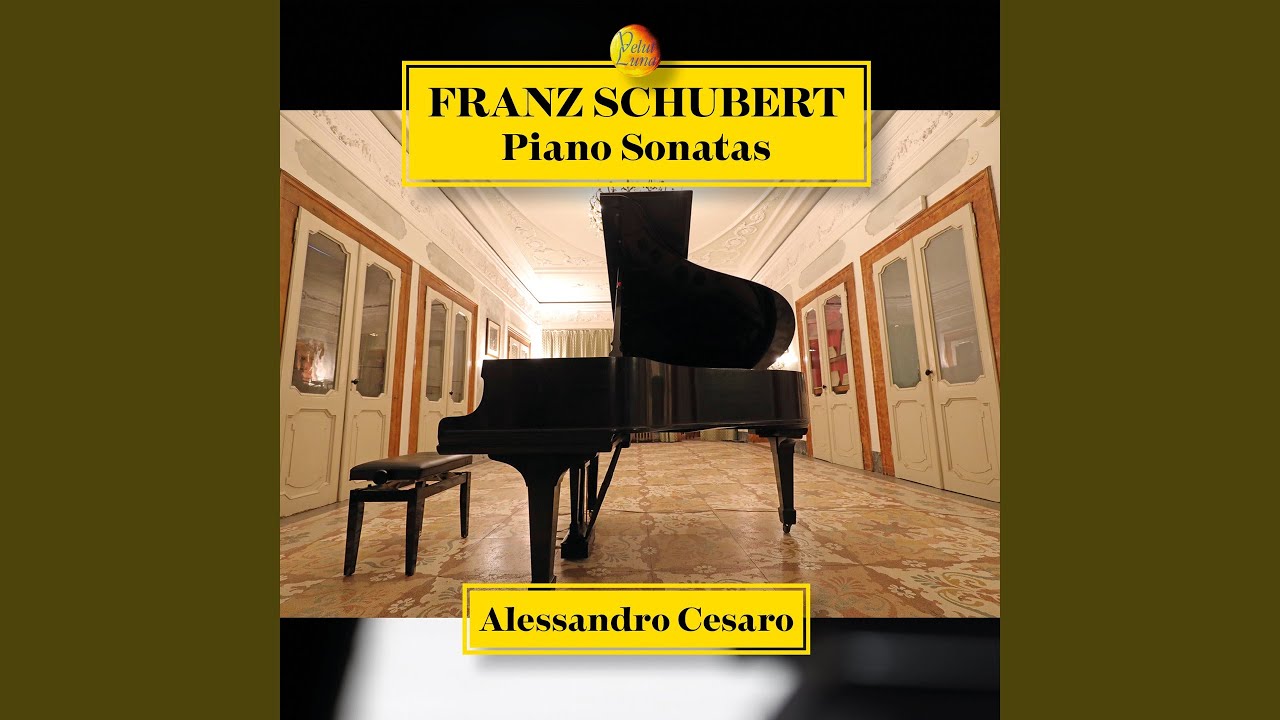 Piano Sonata in B-Flat Major, D. 960: Scherzo. Allegro vivace con delicatezza