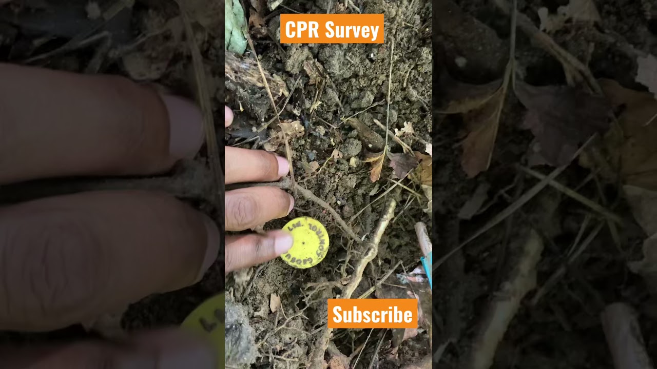How to identify property corners