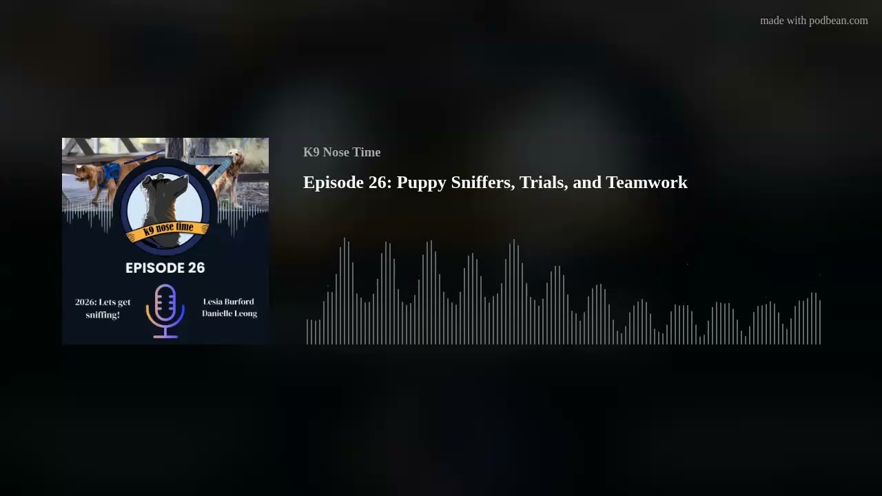 Episode 26: 2026: Lets get sniffing!
