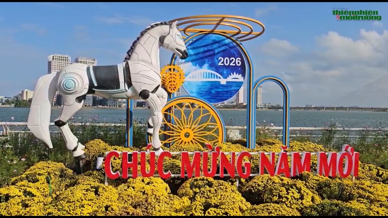 Đà Nẵng: Mùa Xuân mới mang theo nhiều khát vọng