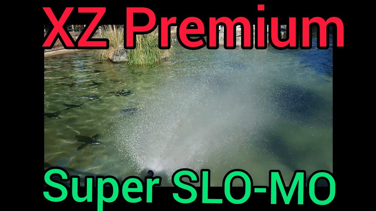 Sony Xperia XZ Premium 960 fps Super Slow Motion