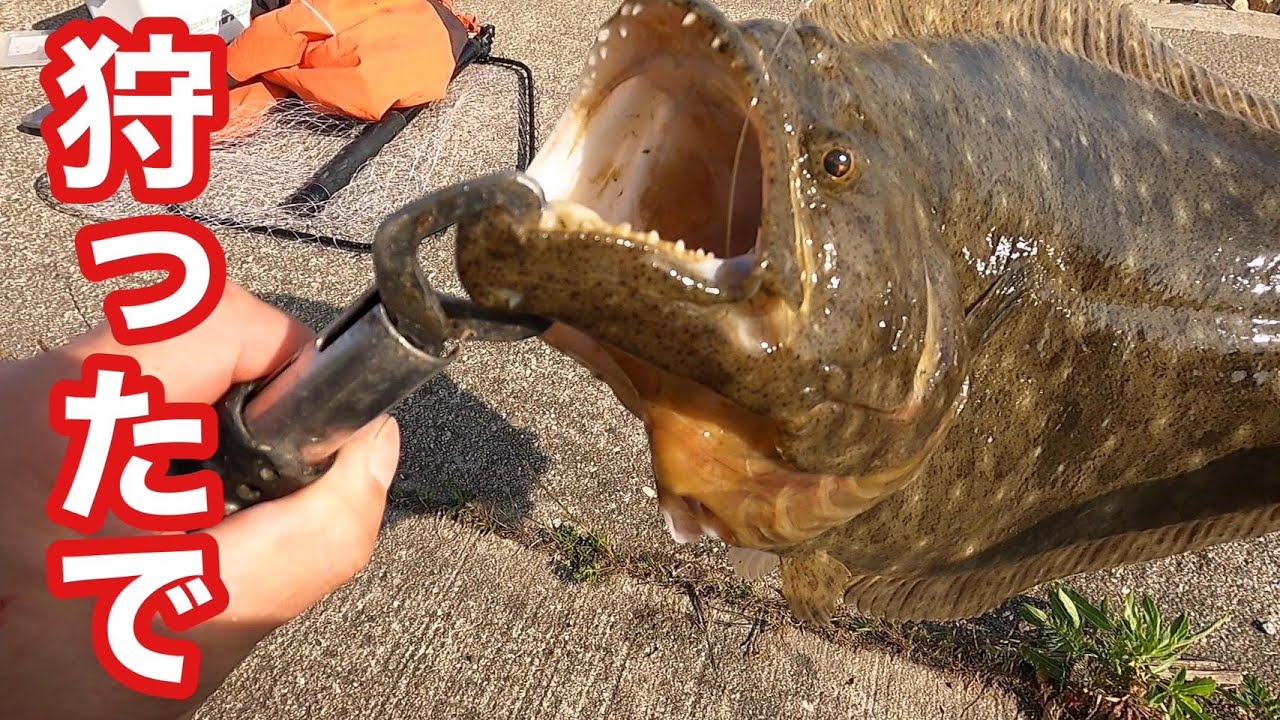 【ヒラメ仕留めました】簡単な仕掛けでヒラメ、コチが釣れます。仕掛けの作り方紹介～実釣【飲ませ釣り】