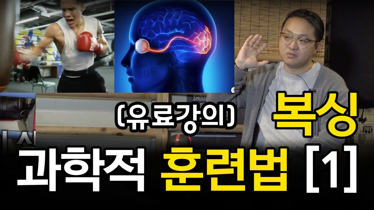 [유료강의] 복싱 체육관에서 못 배우는 강펀치 만드는 법 펀치 스피드 높이는 법 줄넘기 잘하는 법 쉐도우 복싱하는 방법