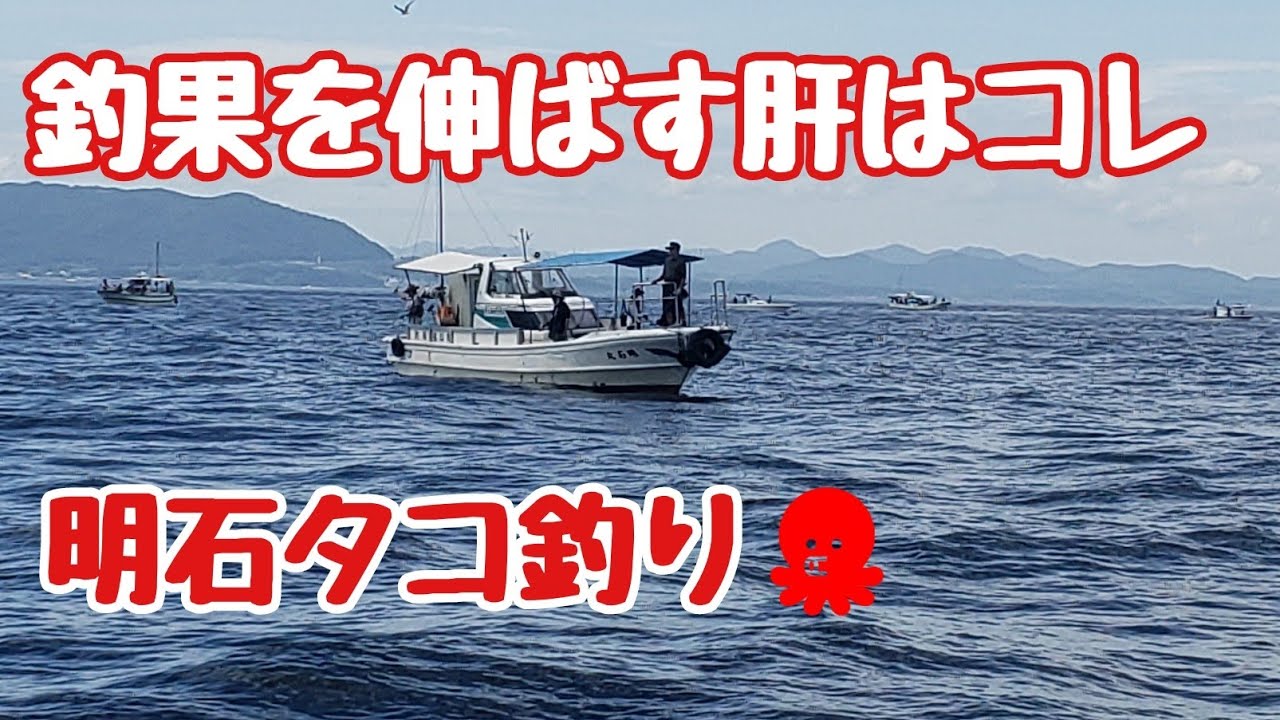 『明石タコ釣り　肝はアワセるタイミング』コンスタントに釣るコツはアワセるタイミング！これを見ればわかります！！