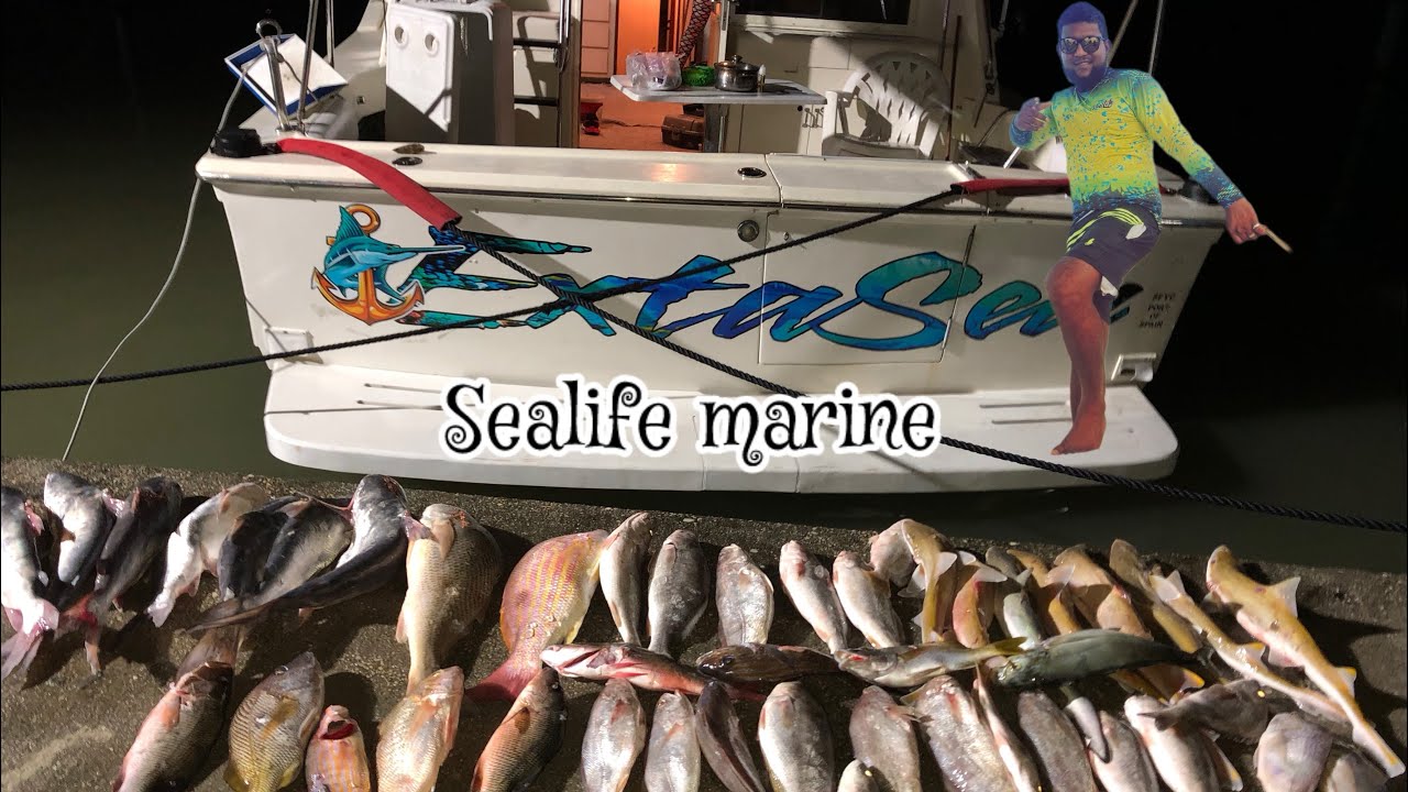 A day with Sealife marine fishing and diving #fishing #trinidad #outdoors #