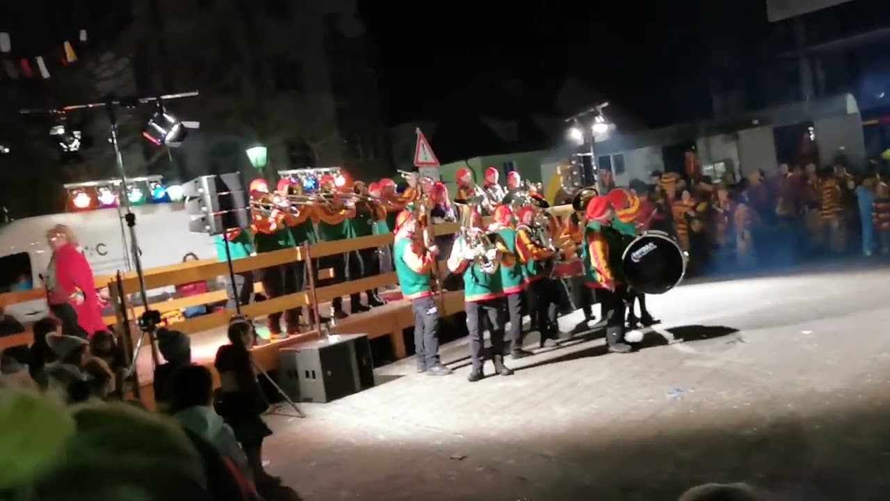 Froschenkapelle Radolfzell | Fasnet 2023 | Radolfzell am Bodensee