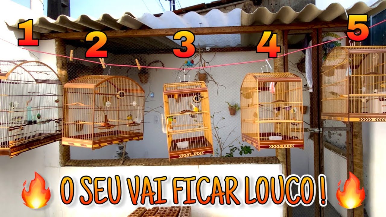 🥇 COLOQUEI TODOS OS MEUS SIBITES PRA DUELAR ! 🔥
