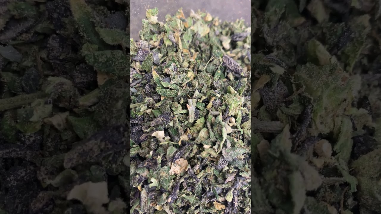 THCa Trim: Lemon Cherry Gelato (Grade 