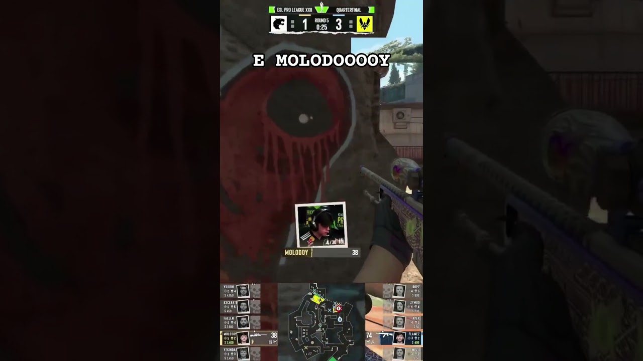 #molodoy #furia #furiagg #fallen #viral #vitality #counterstrike #counterstrike2 #yekindar #kscerato