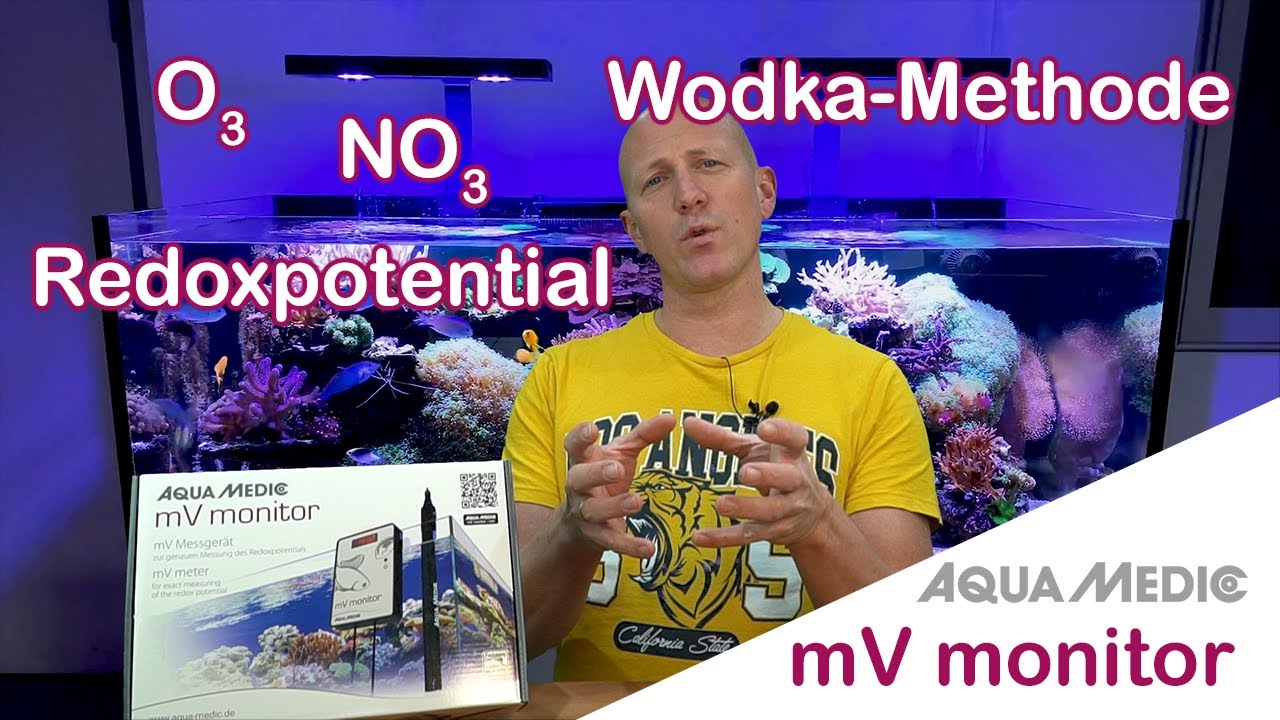 Redoxpotential messen - Aqua Medic mV Monitor