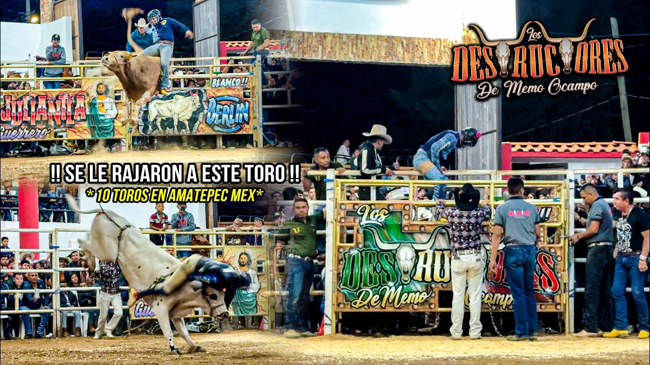 SE LE RAJARON A ESTE TORO | PEL¡GR0 LO MANDO A LOS CUERNOS | 10 TOROS | Destructores Amatepec Mex 26