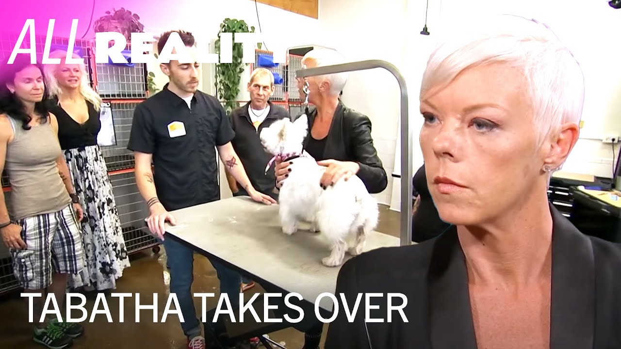 Doggie Day Care in Danger | Tabatha Takes Over | All Reality