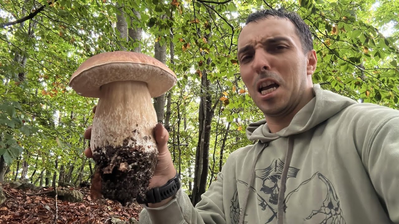 FUNGHI PORCINI - LA BUTTATA DELL'ANNO! LA GRANDE CAVATA PT. 2