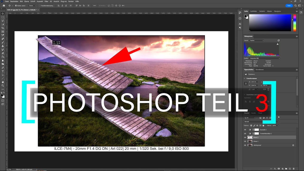 PHOTOSHOP für Anfänger Teil 3 | Auswahl erstellen und Transformieren, Auswahlwerkzeuge