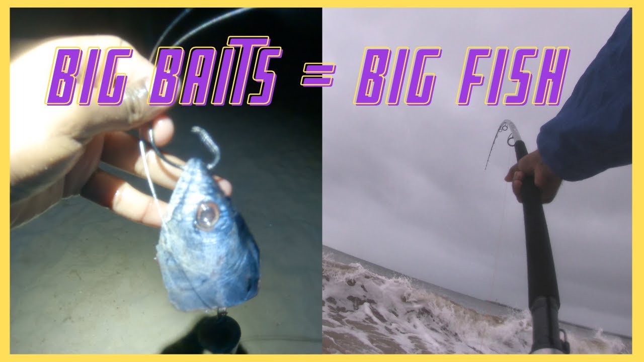 Big baits = Big fish