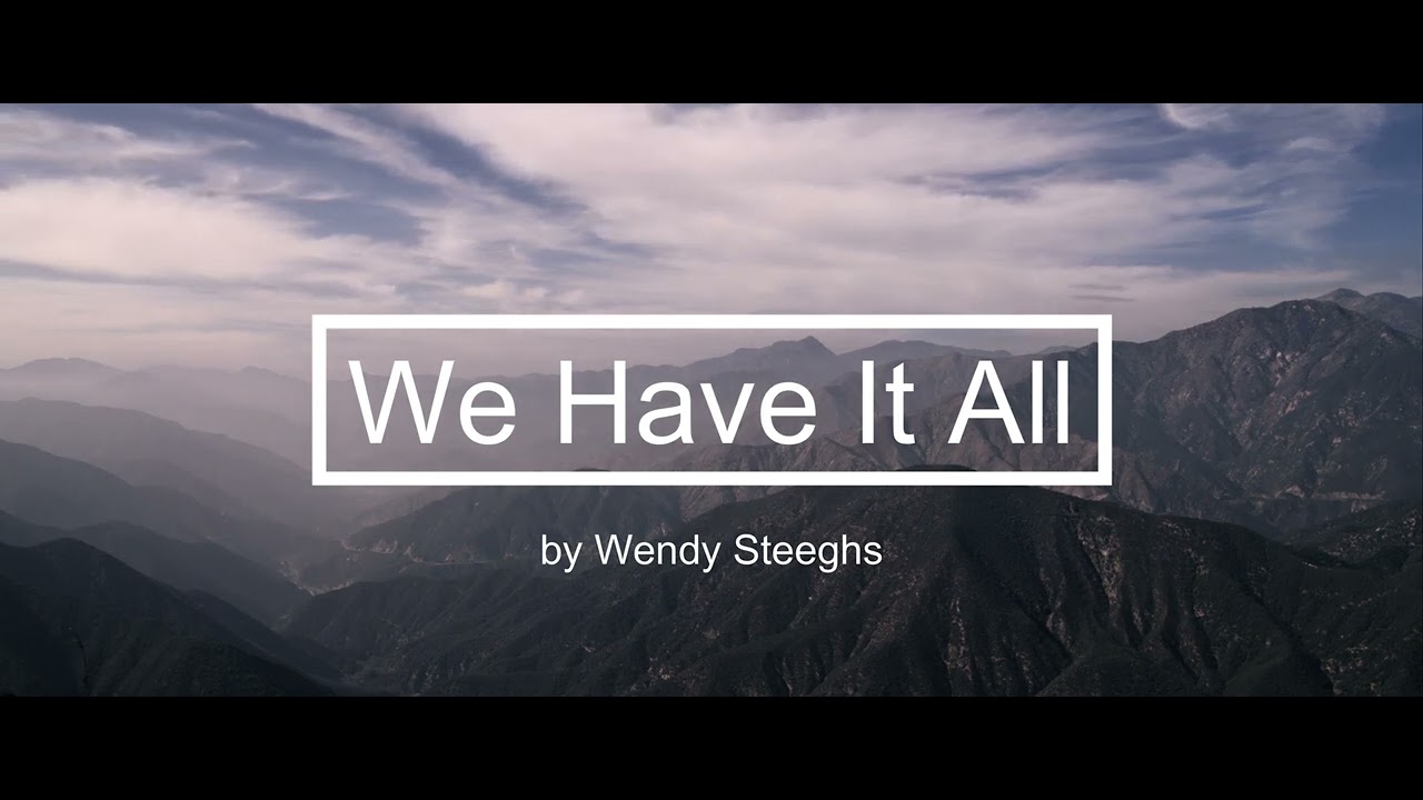 We Have It All Cover - Pim Stones