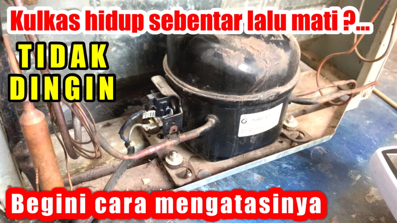GAMPANG,,, KULKAS TIDAK DINGIN HIDUP SEBENTAR  LALU MATI, INI DIA SOLUSINYA