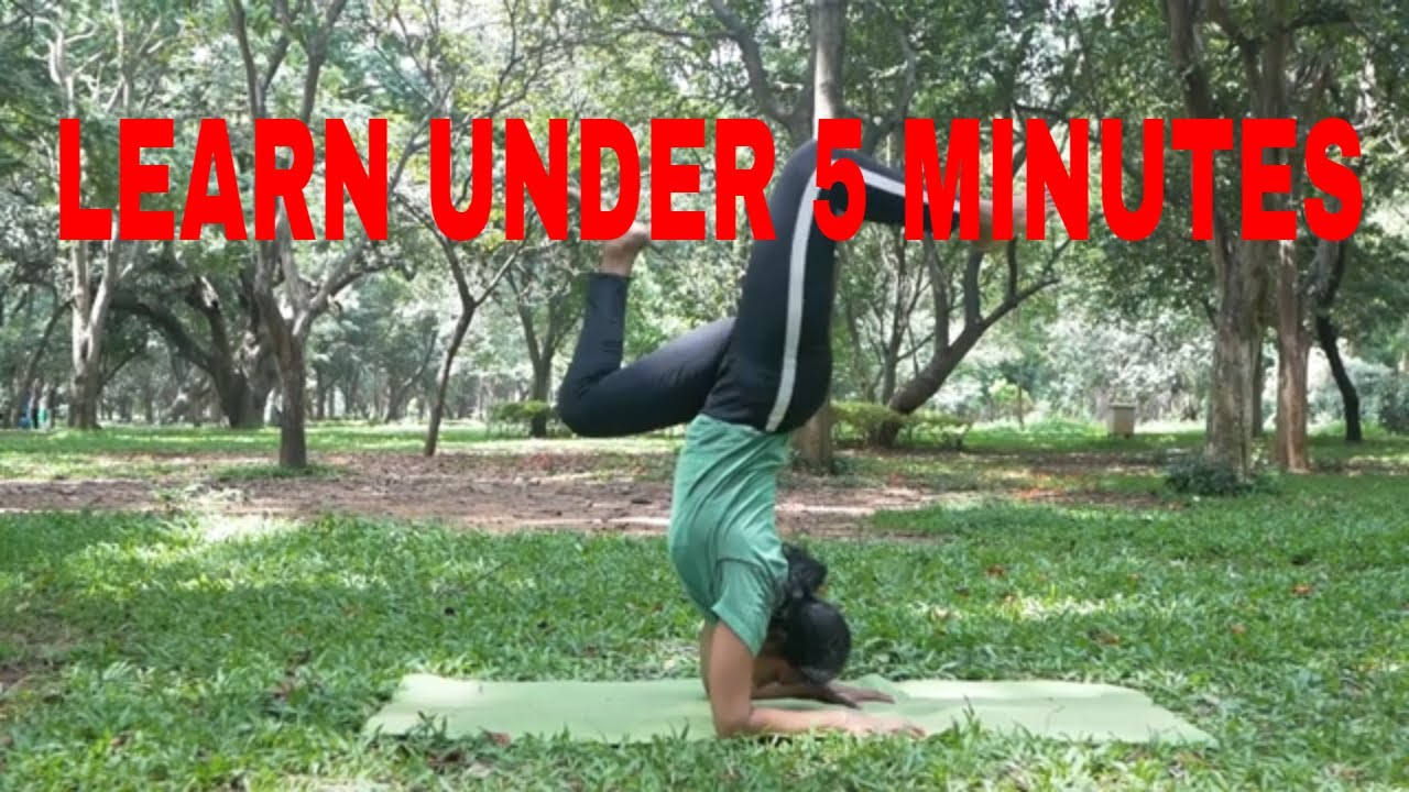 HOW TO DO PINCHA MAYURASANA (FOREARM STAND OR ELBOW STAND) ft Sheetal and Chinmayi