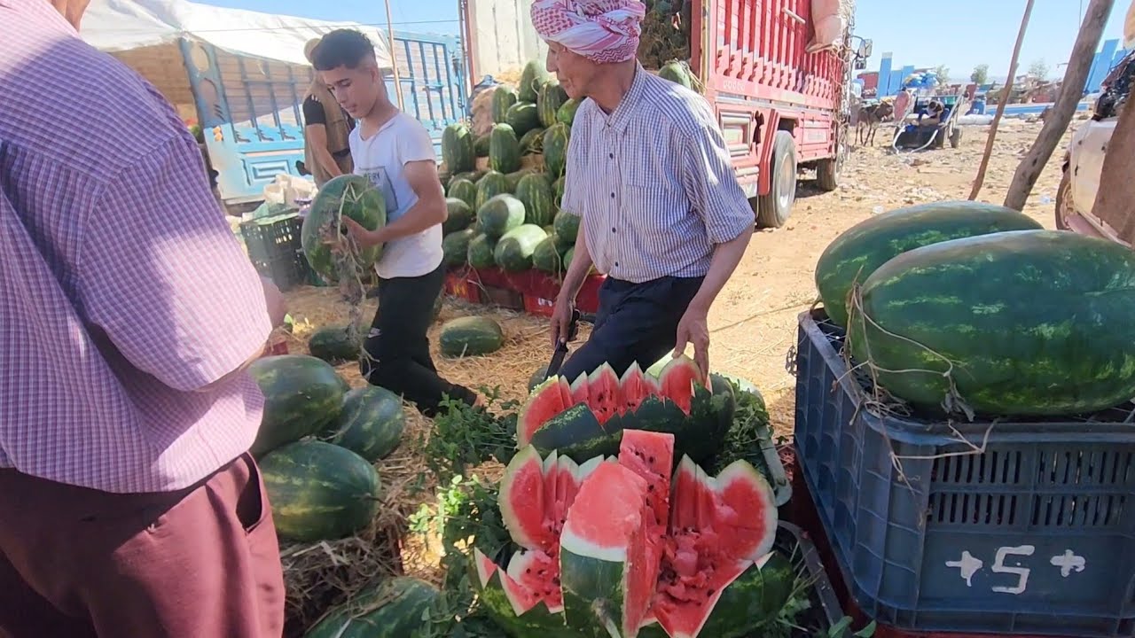 🔥❤🇲🇦مباشرة من سوق تلات لولاد فيني نقدم لكم أتمنة فواكه خضار تاريخ تصوير 2/7/2024