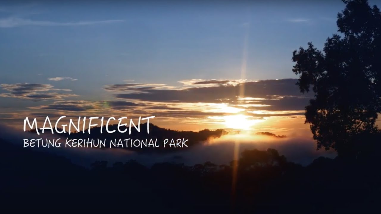 Magnificent Betung Kerihun National Park