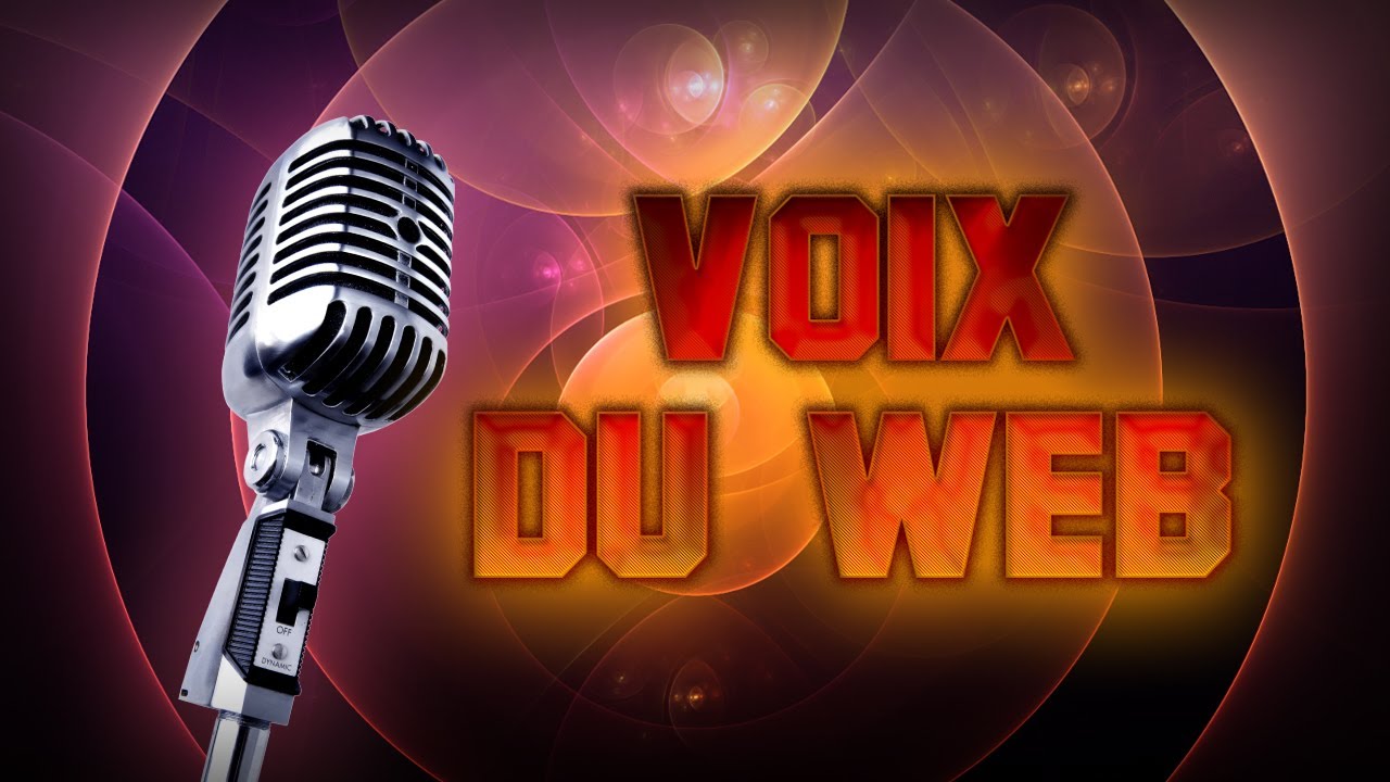 Voix du web #8 MyAppl3FR , Quenton57 , PunkyPSB , Mrchewiking