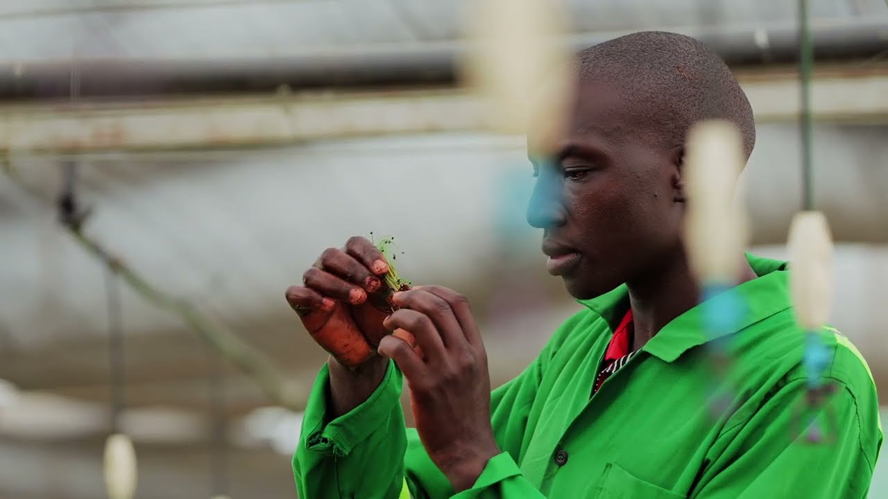 Mutara Farm Tour - Delivering Freshness
