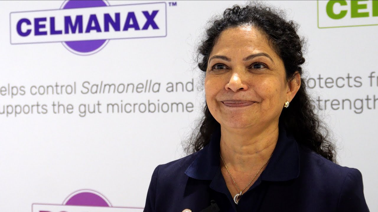 Reducing Salmonella loads and prevalence in live birds