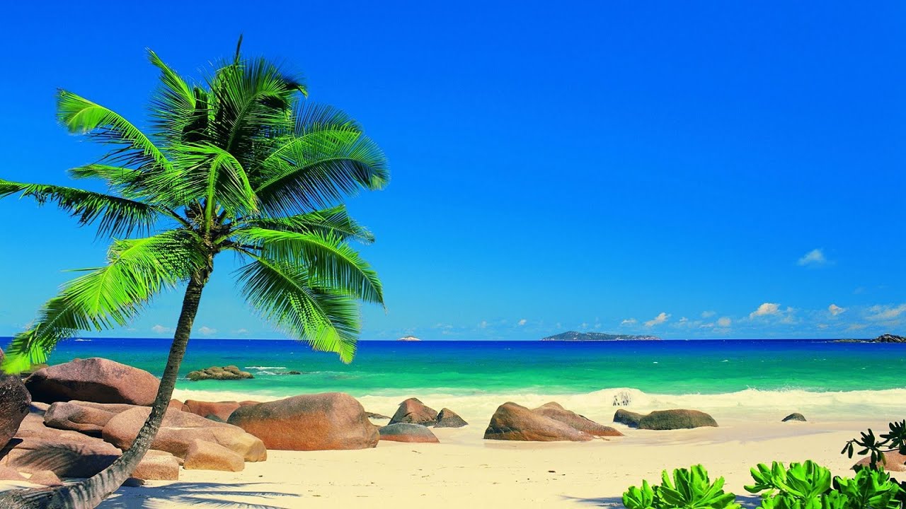 Tropical Music Instrumental - Caribbean Sea