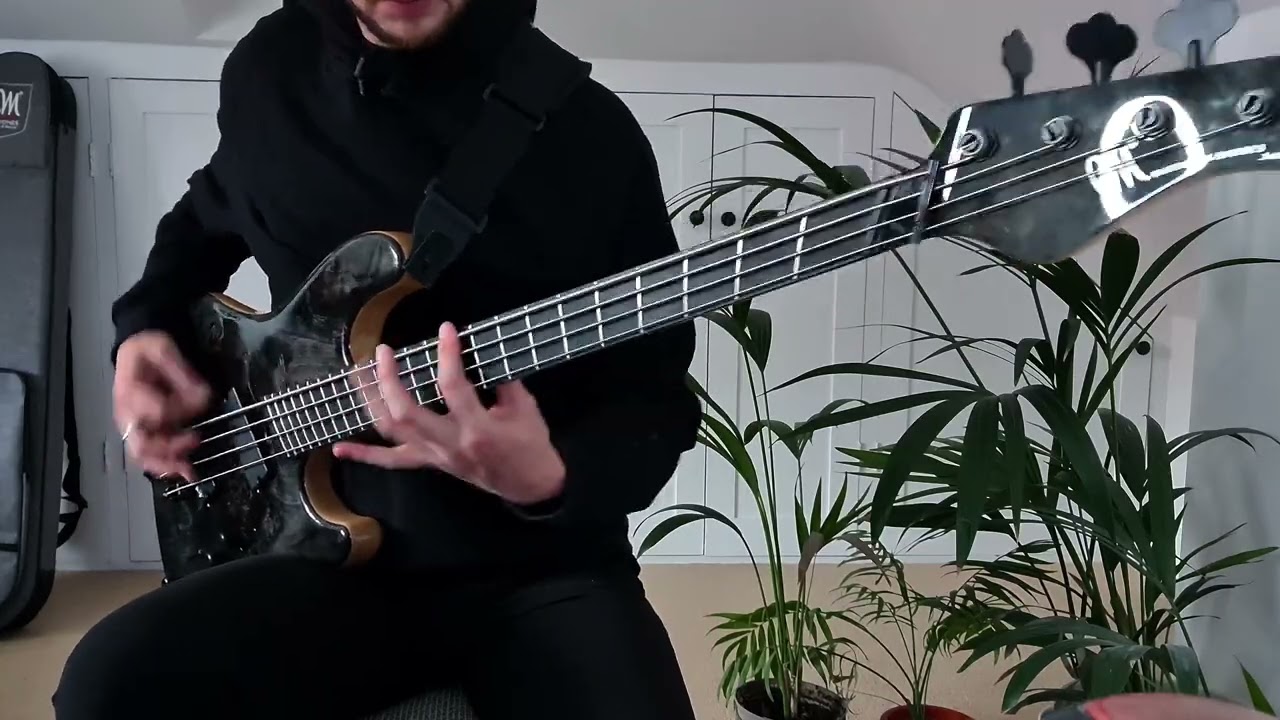 ERRA - SNOWBLOOD: BASS COVER