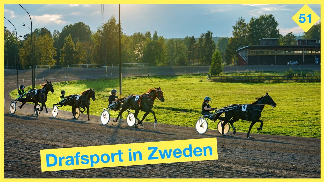 Alles over de Drafsport in Zweden - Vlog 51