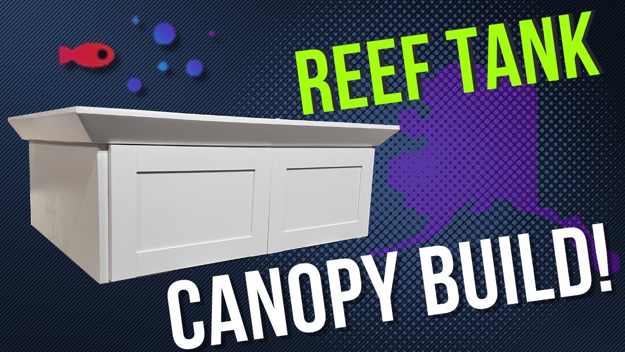Non-Woodworker tries to build Reef Tank Canopy out of wood.