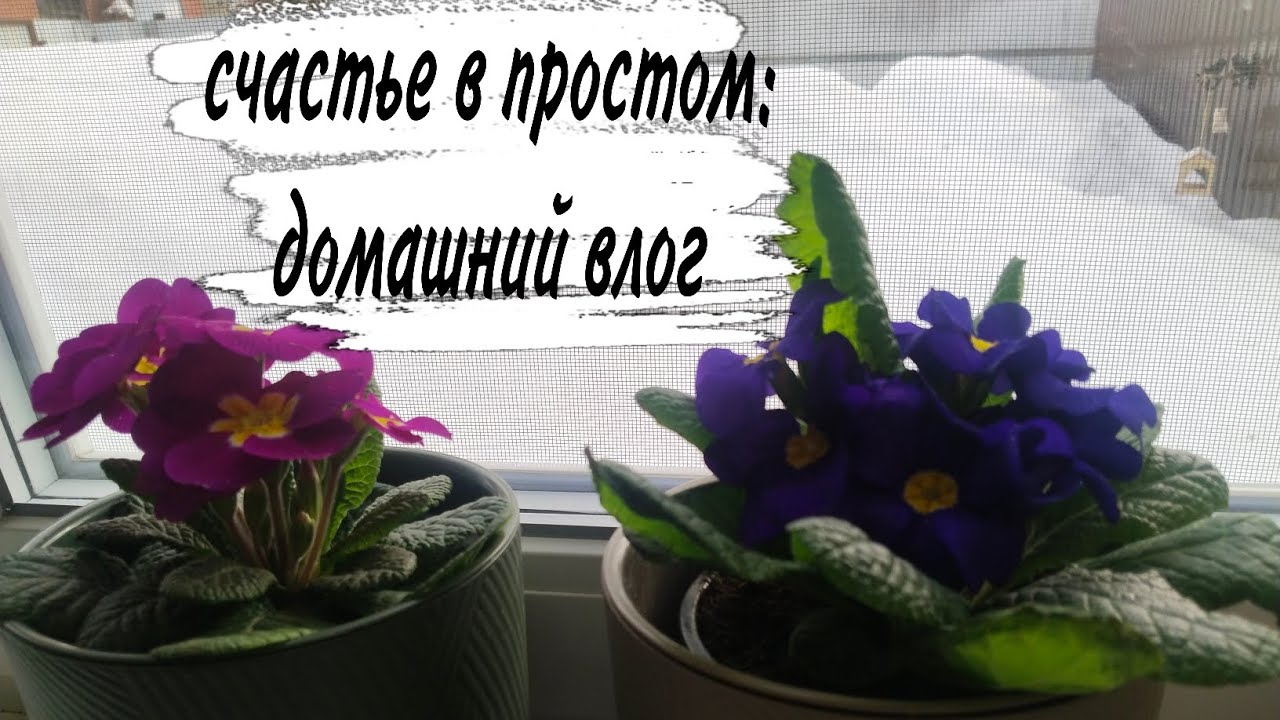 ♥️ МОИ ПОКУПКИ ♥️ ГОТОВЛЮ ПРОСТОЙ УЖИН ♥️