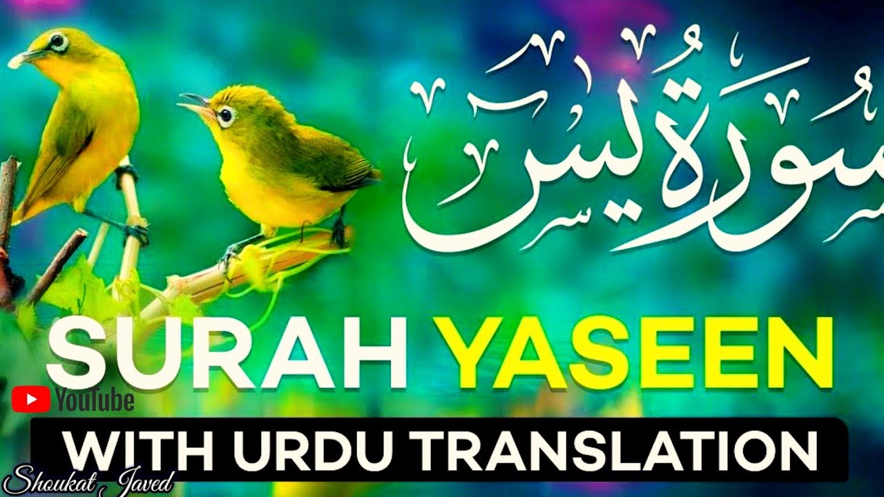 beautiful tilawat quran best voice🕌🕋 | surah yaseen | surah rahman be heaven