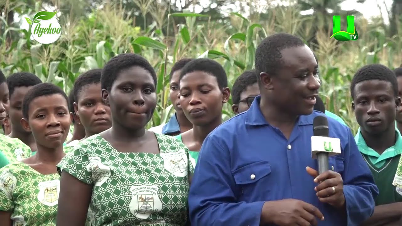 AYEKOO: SCHOOLS IN AGRIC PROGRAM ( KUKUOM AGRIC SHS)