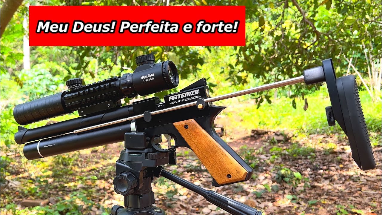 Olha o que ela Fez! Artemis PP 750