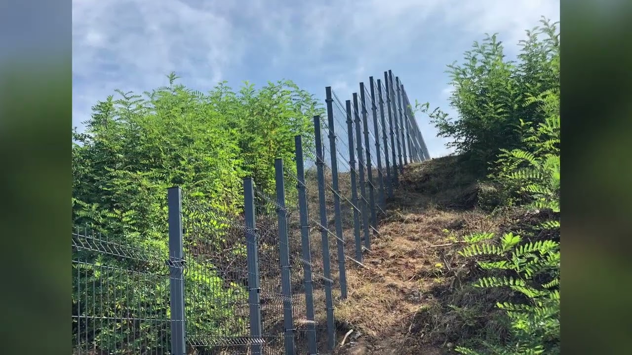 3D Eurofence panelna ograda