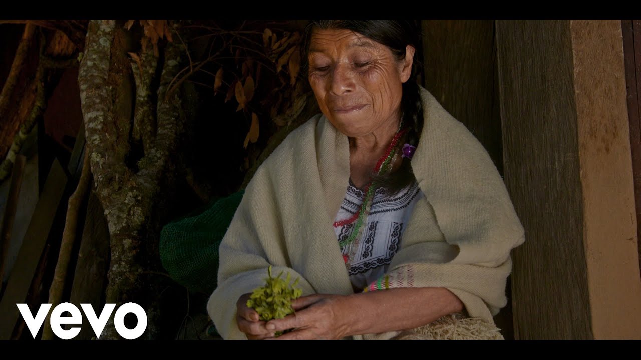 LOBO MIXTECO | EL TREN PASAJERO (Video Clip 4K) 2024